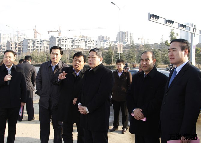 枣庄市委副书记、市长张术平来我公司调研项目建设情况