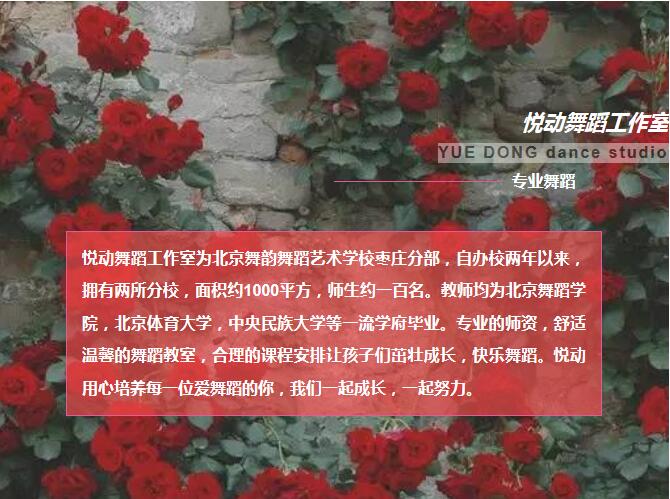 一个专心舞蹈教育的工作室!我们在招生,你来么?