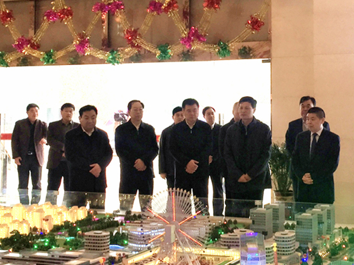 河南省长谢伏瞻莅临太康万城金街项目考察指导工作