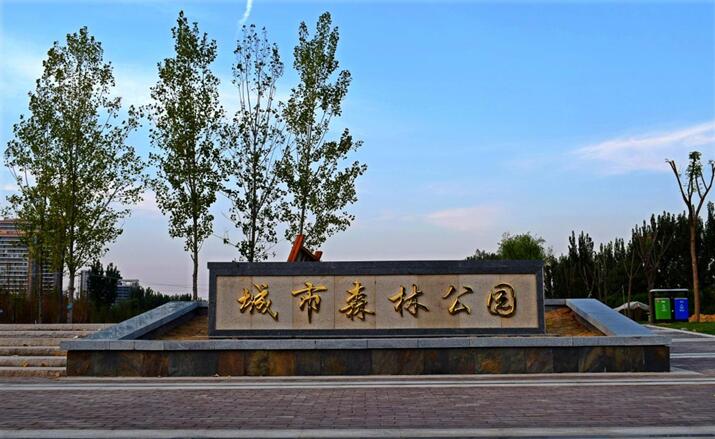 万洲集团为薛城森林公园的建设贡献力量
