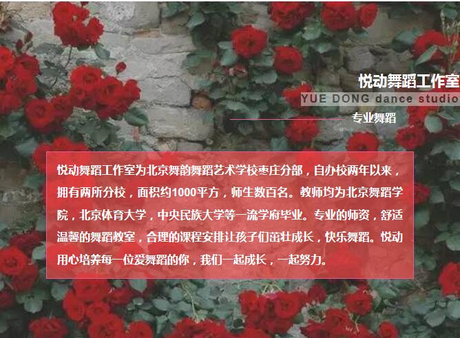 一个专心舞蹈教育的工作室,我们在招生你来么?!万洲第一街教育培训基地悦动舞蹈
