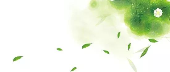 枣庄第一茶市新茶上市啦!新春第一采你不想尝尝鲜?