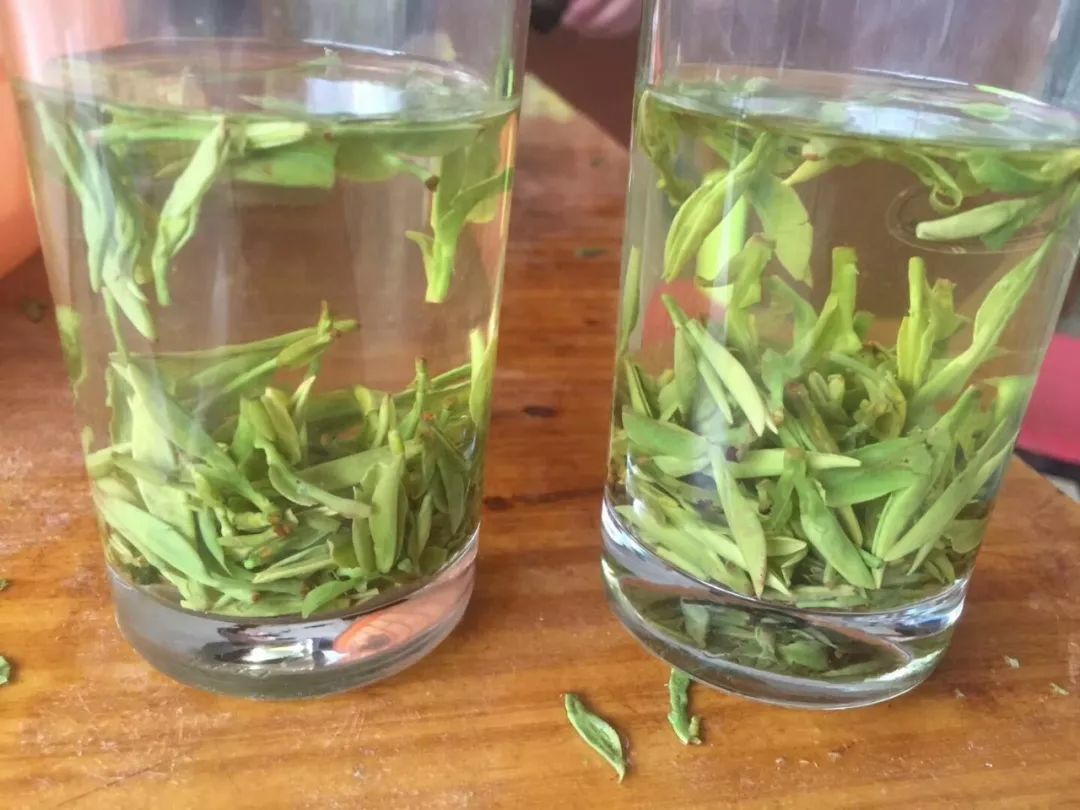 枣庄第一茶市新茶上市啦!新春第一采你不想尝尝鲜?