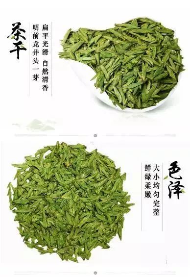 枣庄第一茶市新茶上市啦!新春第一采你不想尝尝鲜?