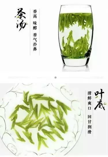 枣庄第一茶市新茶上市啦!新春第一采你不想尝尝鲜?
