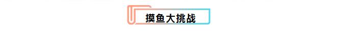 鲫鱼免费送!游乐免费玩!还有这好事?