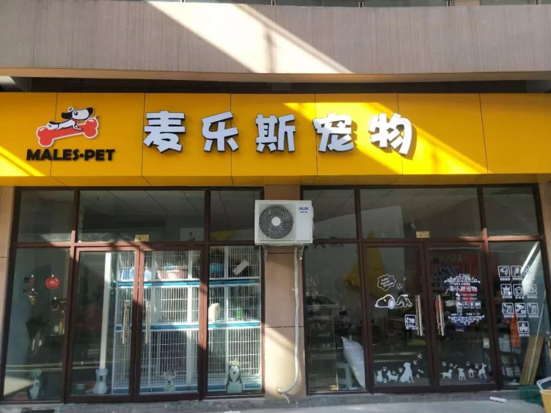 万洲第一街麦乐斯宠物店国庆期间活体犬买一送三!