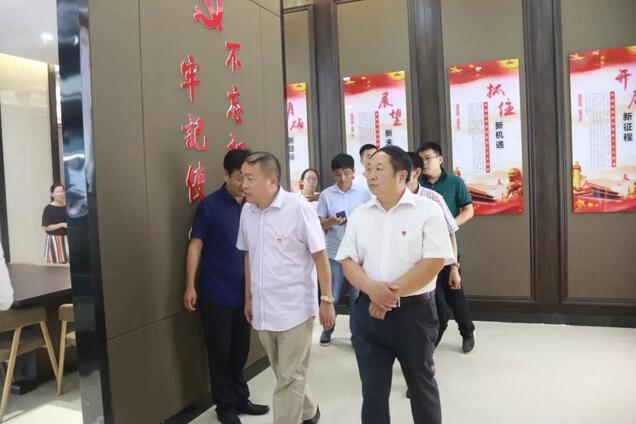 热烈欢迎郸城县委组织部副部长胡兆臣等领导到郸城万洋党支部检查指导党建工作!