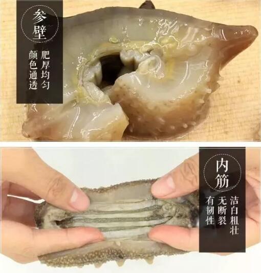 好当家有机刺参万洲店盛大开业!|高温夏乏身体虚,海参为您带来正能量