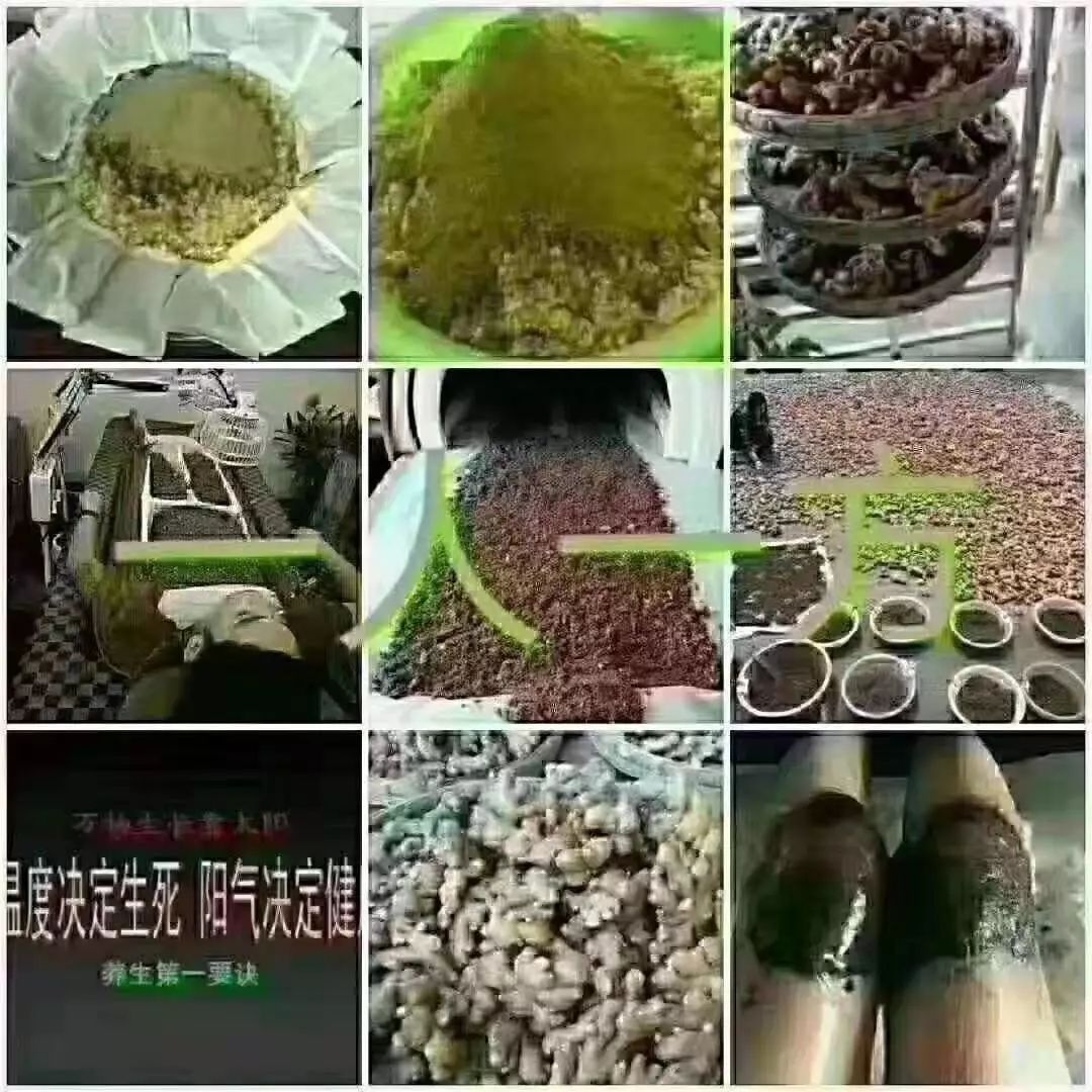 古法秘制生姜铺灸体验活动开始啦!