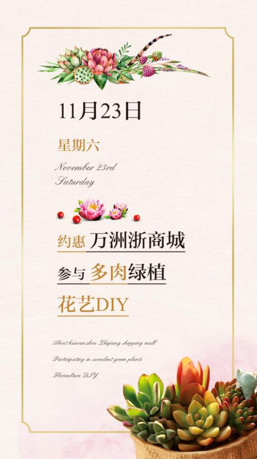 11月23日,多肉绿植diy温情启幕,来万洲浙商城约惠初冬!