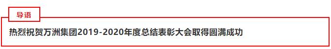 热烈祝贺万洲集团2019-2020年度总结表彰大会取得圆满成功