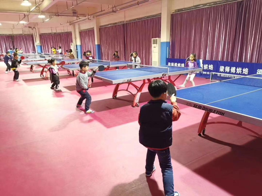 健旭乒乓培训暑假火热报名中……!参与活动免费赠送暑假班!