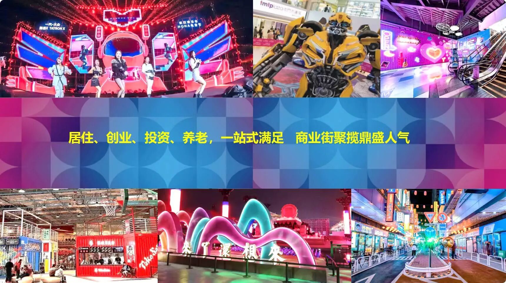 ���޻�,��ʽ��Ԣ,ʢ�󿪷�,��Ԣ�ͳ�λ